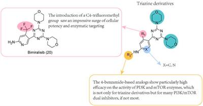 Recent Advances in Dual PI3K/mTOR Inhibitors for Tumour Treatment